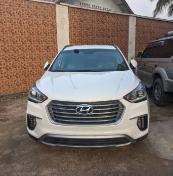 HYUNDAI SANTAFE 2017 SANS PLAQUE